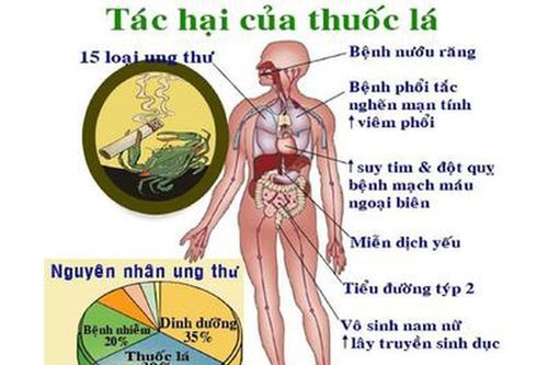 Thuốc lá gây tác hại khôn lường đến sức khỏe, kinh tế