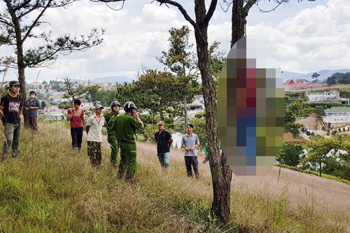 Phát hiện người đàn ông treo cổ trong rừng thông