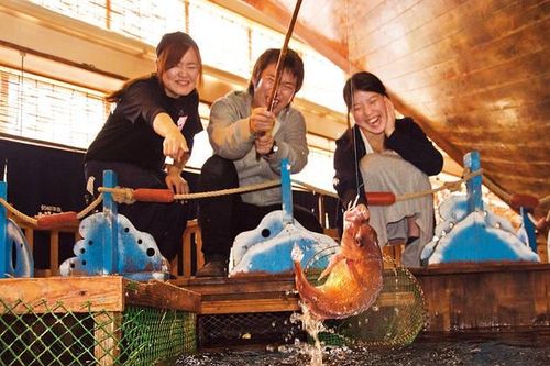 Nhà hàng sushi phục vụ cá do khách tự câu ở Nhật Bản