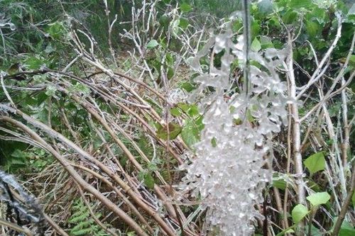 Đỉnh Fansipan âm 6°C, Mẫu Sơn có thể xuất hiện băng giá
