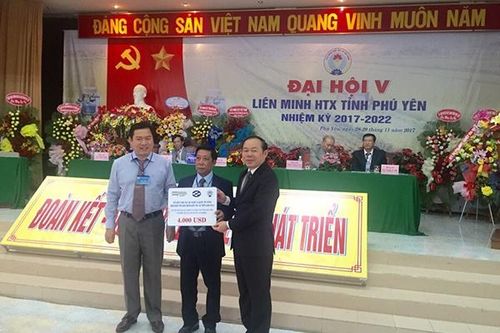 Hỗ trợ các hợp tác xã nghề cá bị ảnh hưởng bão số 12