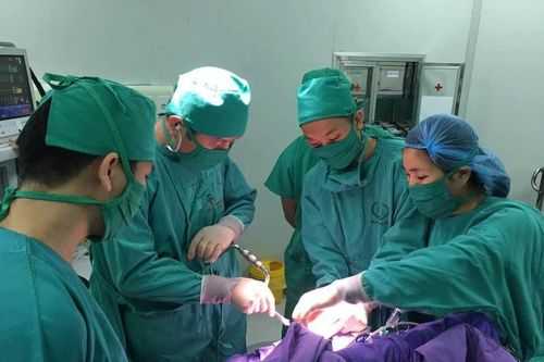 Cứu sống bé gái 3 tuổi bị chấn thương sọ não do đập đầu xuống đất