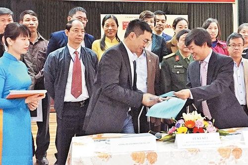 Bảo đảm an toàn vệ sinh thực phẩm Tết