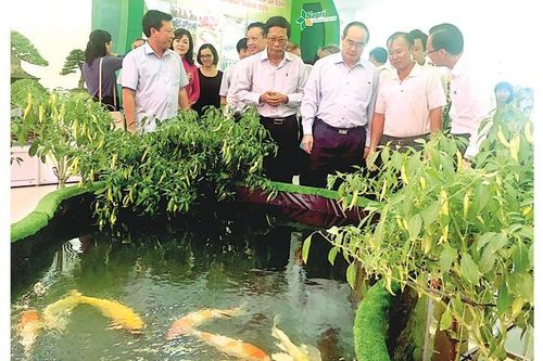 Để nông nghiệp thành phố phát triển, phải chuyển mô hình từ hộ cá thể sang HTX