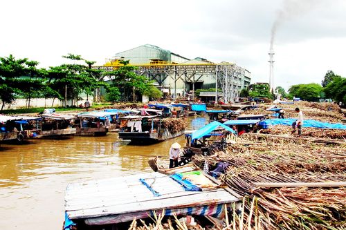 'Cửa hẹp' cho ngành mía đường