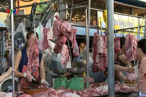 100% mẫu thịt lợn, thịt gà xét nghiệm nhiễm khuẩn E.Coli