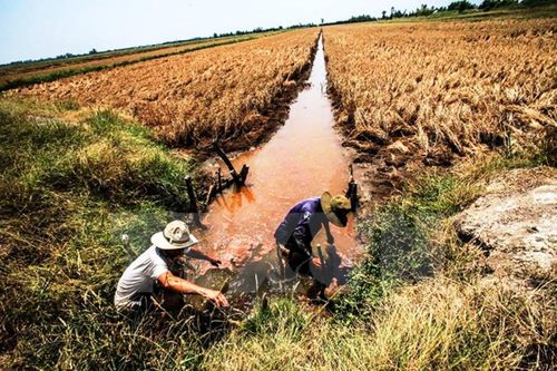 Thách thức an ninh nguồn nước và năng lượng ở Đồng bằng sông Cửu Long