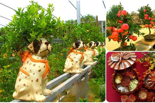 Săn lùng những món quà Tết 2018 'độc' nhất thị trường