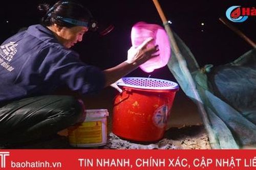 Về Đức Vĩnh xem dân hốt... 'lộc trời'!