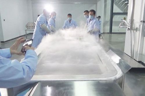 Đông lạnh cả gia đình để chờ được hồi sinh trong tương lai