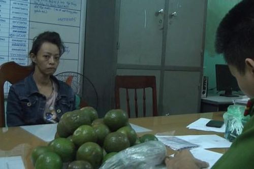 Thùng trái cây chứa heroin trên xe khách