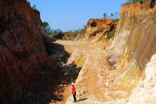 Ngang nhiên xẻ đồi bán đất sau khi được giao rừng trồng