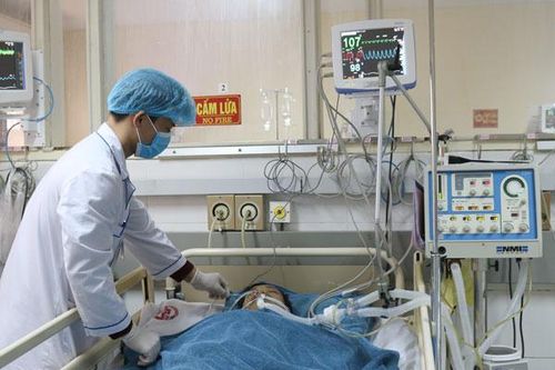 Quảng Ninh: Ăn so biển, 4 người nhập viện cấp cứu