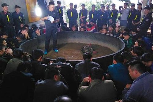Hơn 100 cảnh sát mật phục phá sới chọi gà 'khủng' của 'quý bà'