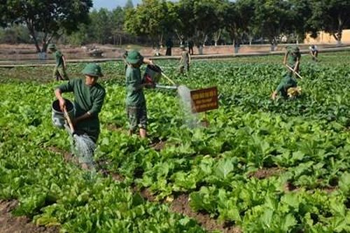 Tăng gia sản xuất hướng vào nâng cao chất lượng đời sống bộ đội