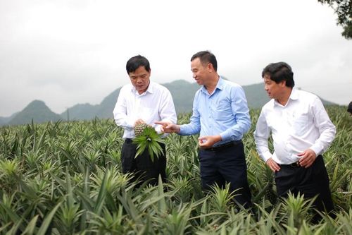 2 nút thắt, 3 khâu đột phá của ngành nông nghiệp trong năm 2018