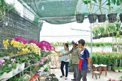Làng nghề miền Tây vào Tết