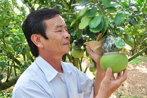 Quả 'độc, lạ' lên ngôi thị trường Tết