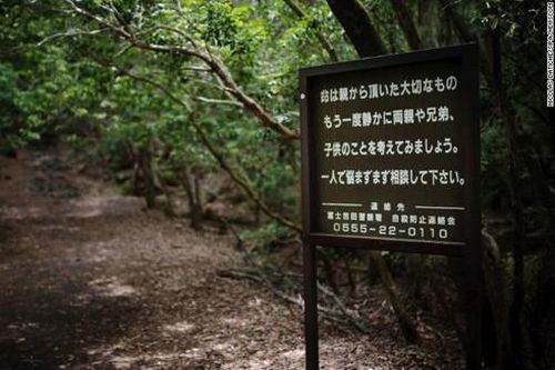 Bên trong 'khu rừng tự tử' ở Nhật Bản