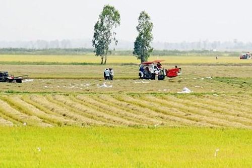 Phải thay đổi tư duy làm nông nghiệp