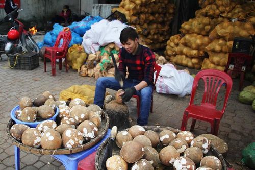 Dừa già làm mứt Tết 'lên ngôi'