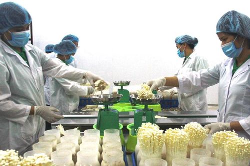 Gỡ khó cho nông nghiệp công nghệ cao