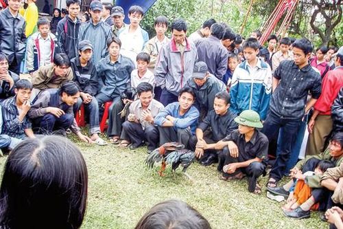 Muôn kiểu đỏ đen