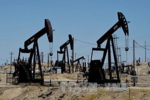 IEA: Mỹ sẽ trở thành nhà sản xuất dầu mỏ lớn thứ 2 thế giới trong năm 2018