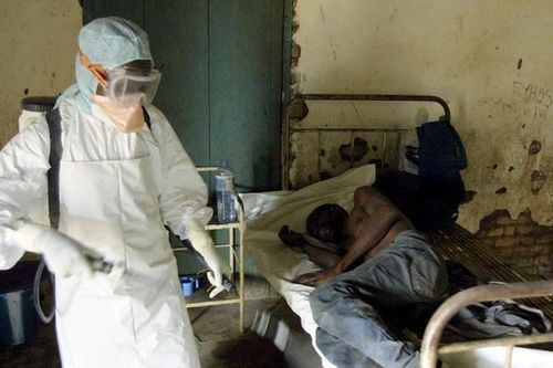 Nhân loại đang đứng trước nguy cơ các loại dịch bệnh mới