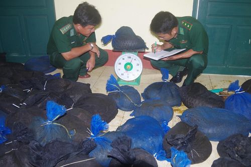 Một kiểm lâm bị tạm đình chỉ công tác trong vụ 114 con tê tê