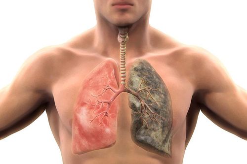 Những lợi ích to lớn về sức khỏe khi bỏ thuốc lá