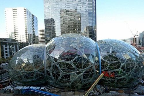 Cận cảnh rừng nhân tạo 4 tỷ USD ngay giữa văn phòng Amazon