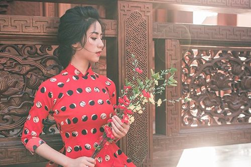 Cận Tết, giới trẻ 3 miền khoe ảnh chụp với hoa mai, hoa đào cực xinh