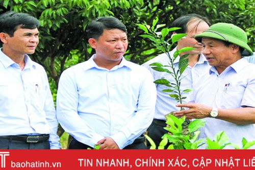 Xây dựng phong cách làm việc dân chủ - quần chúng theo phong cách Hồ Chí Minh