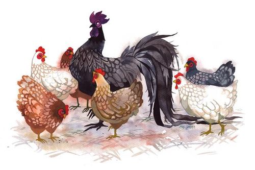 Tuổi Dậu năm 2018: Sự nghiệp thăng trầm
