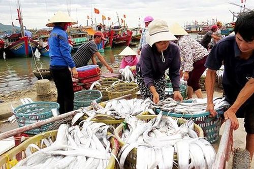 Nhộn nhịp làng biển Quảng Bình