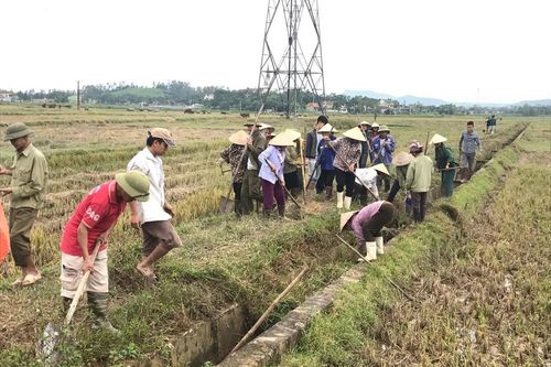 Nghĩa Đàn đầu tư 5 tỷ đồng nâng cấp hồ đập phục vụ sản xuất vụ xuân