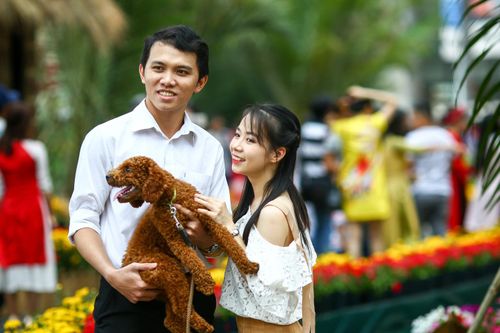 Hội hoa xuân khu nhà giàu Phú Mỹ Hưng