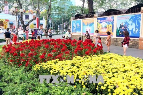 Rộn ràng sắc Xuân trên mọi miền Tổ quốc