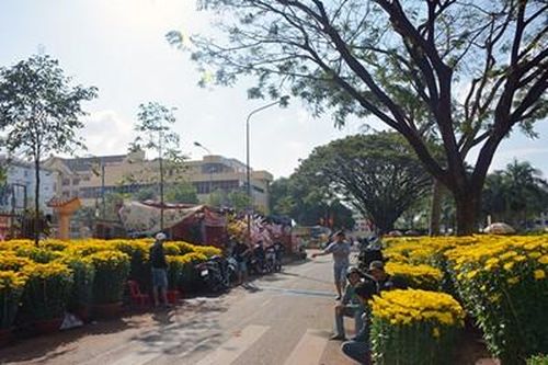 Rực rỡ sắc Xuân Buôn Ma Thuột