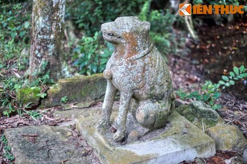 Độc đáo những phong tục tập quán gắn với con chó ở Việt Nam