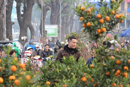 Chiều 29 Tết, hàng quất đào Tết 'vừa bán vừa cho', dân ùn ùn mua