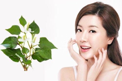 Bật mí cách làm da trắng bật tông bằng rau diếp cá