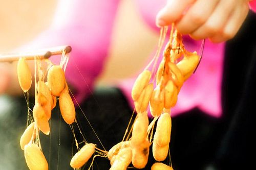 Giấc mơ lụa Việt