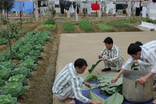 Xuân sớm ở Trại giam Nà Tấu