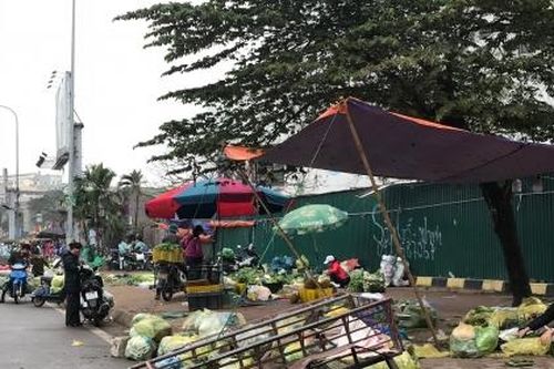 Hà Nội: Giá rau xanh tăng mạnh sau dịp Tết