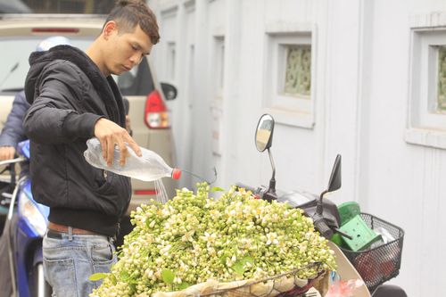 Chùm ảnh: Mùa hoa bưởi ngập tràn sắc xuân Hà Nội