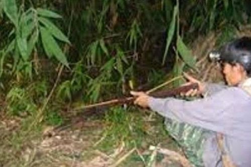 Bắn chết bạn vì nhầm tưởng thú rừng trong lúc đi săn