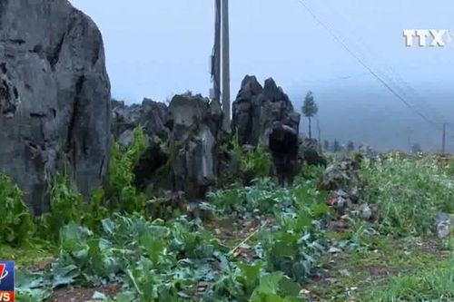 Hà Giang khẩn trương khắc phục thiệt hại do mưa đá gây ra