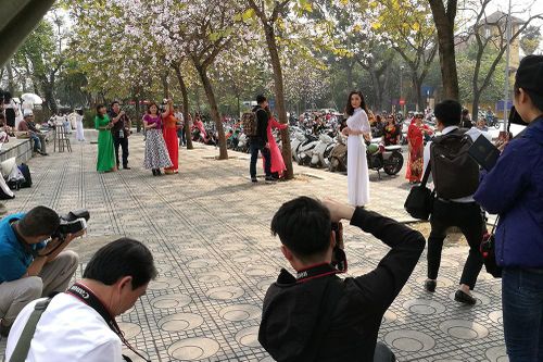Chị em Hà thành dập dìu 'đọ sắc' với hoa ban Tây Bắc dịp cuối tuần